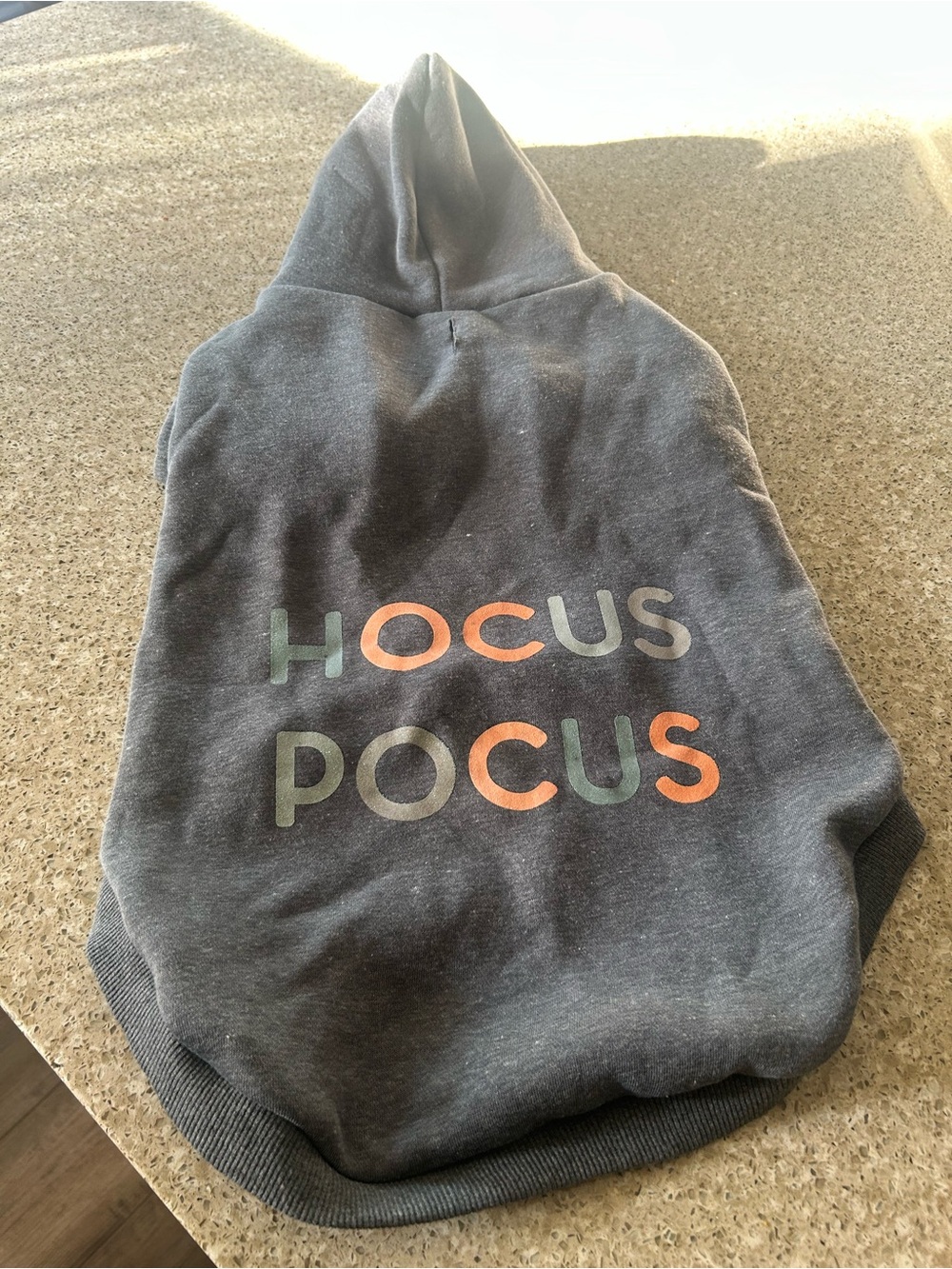 Charcoal Gray 'HOCUS POCUS' Dog Hoodie, size XL